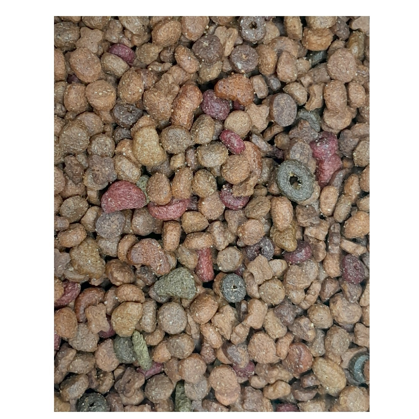 غذا خشک گربه بالغ تیستی کت مدل ادالت دیلی فله دیجیا با طعم مرغ و ماهی وزن 1000 گرم