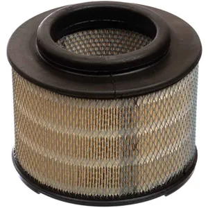 Toyota Geniune Parts 17801-0c010 Air Filter