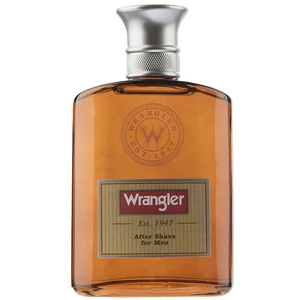 افتر شیو ادکلنی رنگلر حجم 100 میلی لیتر