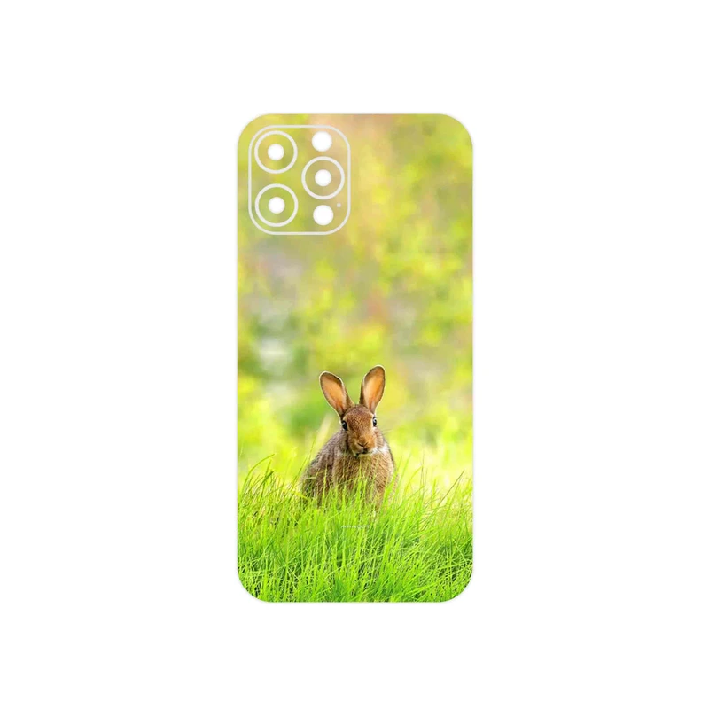 برچسب پوششی ماهوت مدل Rabbit مناسب برای گوشی موبایل اپل iPhone 12 Pro Max