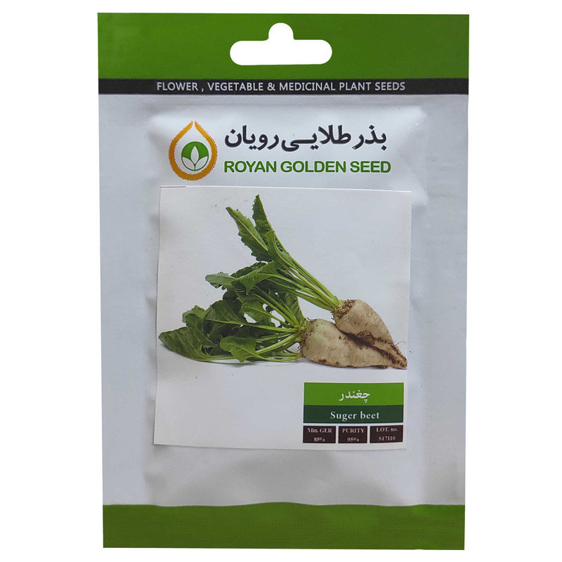 بذر چغندر بذر طلایی رویان کد BZT-145
