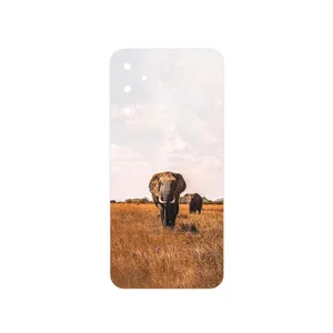 MAHOOT Elephant Cover Sticker for Samsung Galaxy A34