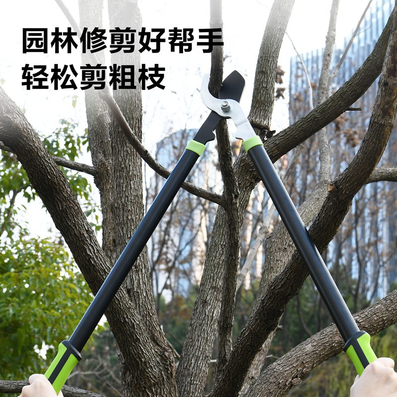 قیچی شاخه زن دلی مدل DL2779
