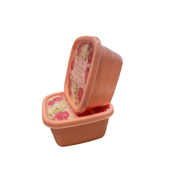 ظرف نگهدارنده مدل Eli Flower مجموعه 2 عددی