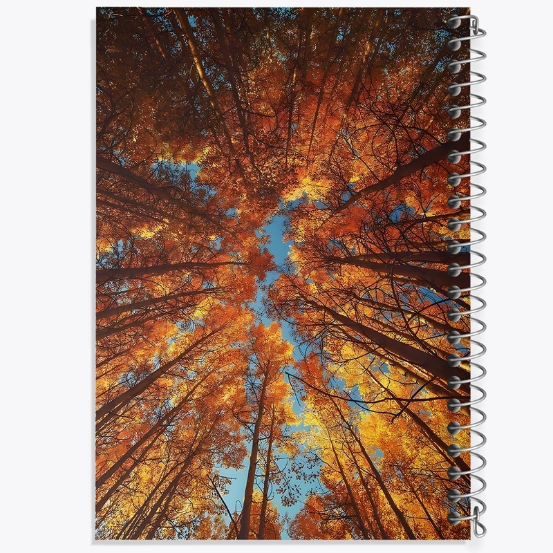 دفتر نت موسیقی 50 برگ خندالو مدل جنگل پاییزی کد F1317