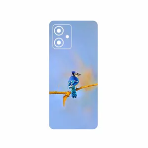 MAHOOT Cyanocitta cristata Cover Sticker for Motorola Moto G54