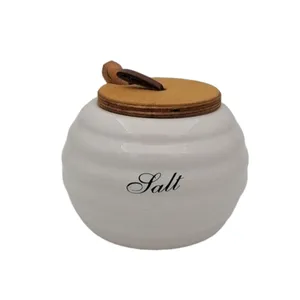 جای ادویه ام وي اچ گلس اند پلاستيكس مدل  SALT HANA
