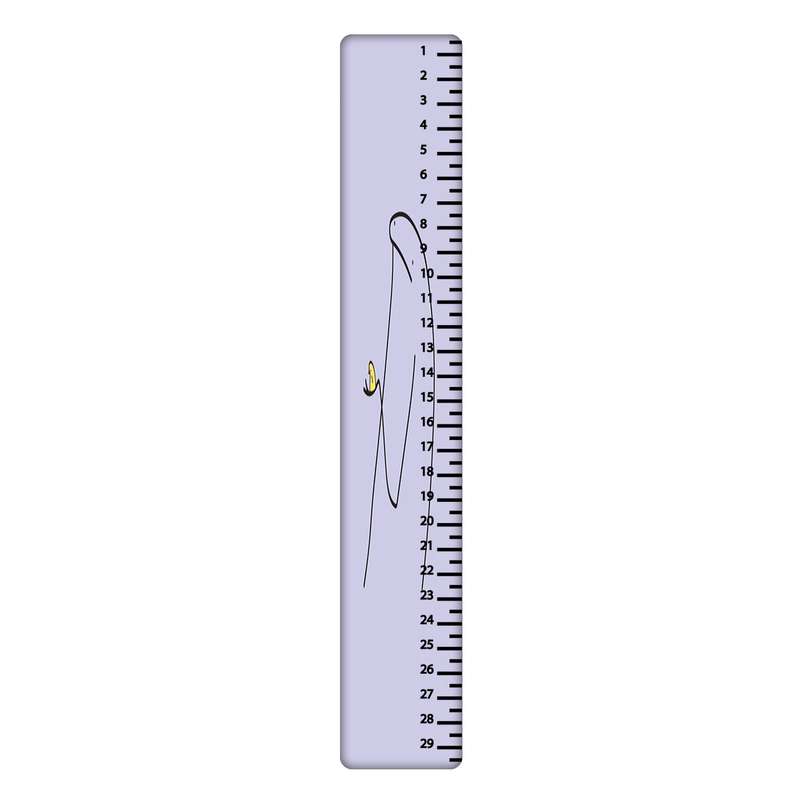 خط کش 30 سانتی متر طرح میقولی کد 2429