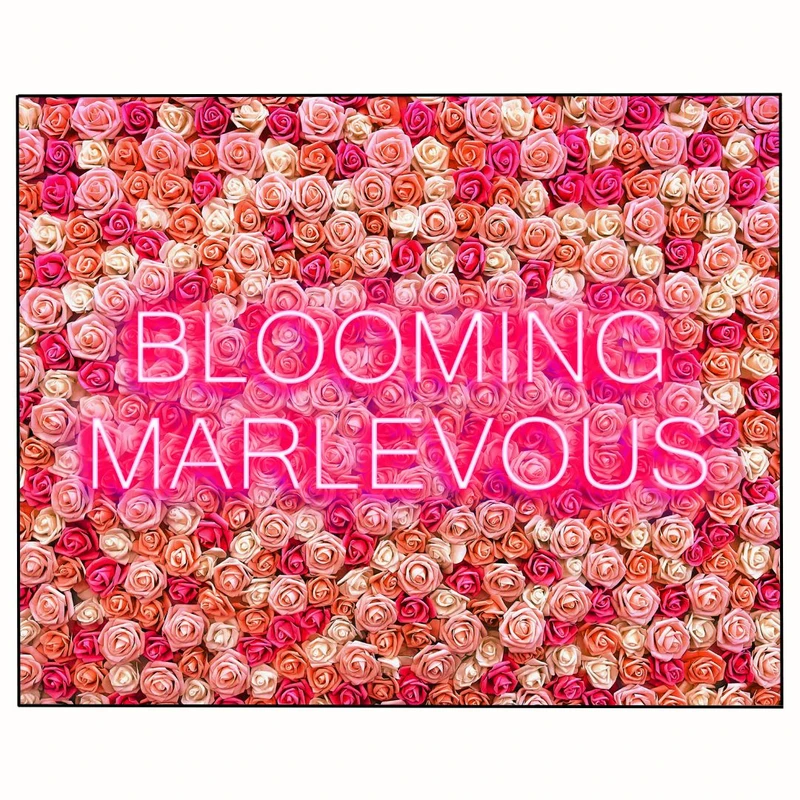 پوستر مدل شگفت‌انگیز گل‌ها