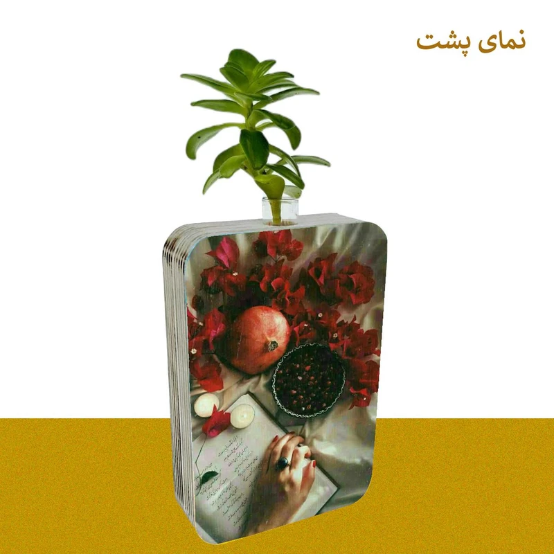 عکس شماره 3