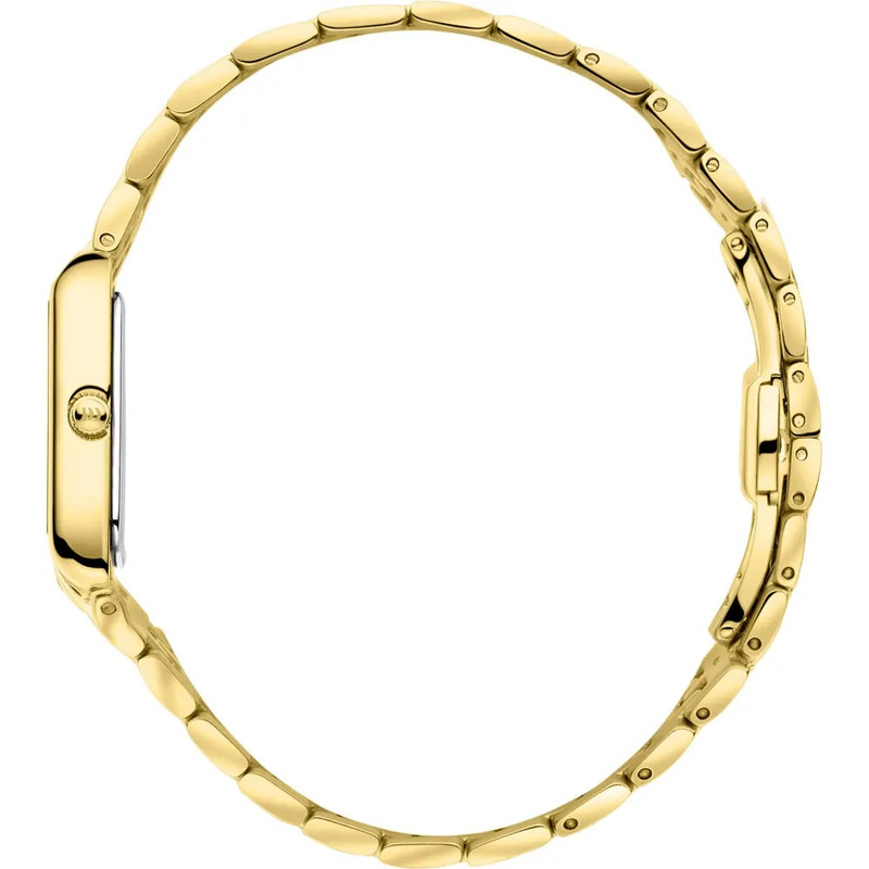 ساعت مچی عقربه‌ای زنانه دنیش دیزاین مدل IV96Q1299