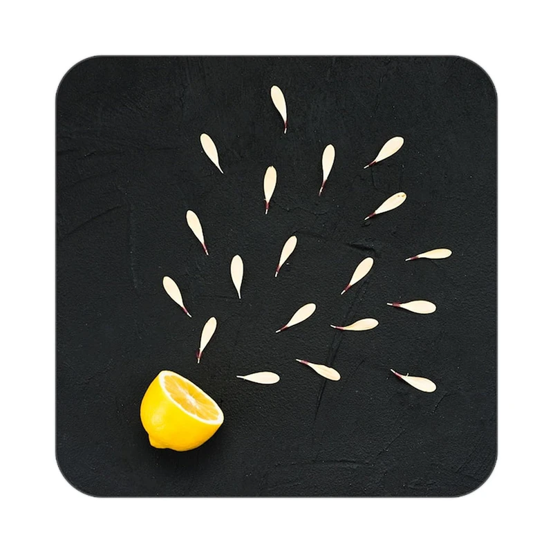 زیر لیوانی کاکتی طرح میوه مدل mp21098