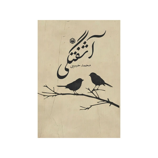 کتاب آشفتگی اثر محمد حبیبی نشر متخصصان