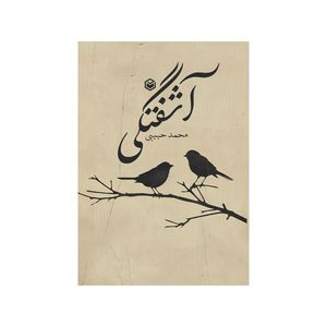 کتاب آشفتگی اثر محمد حبیبی نشر متخصصان
