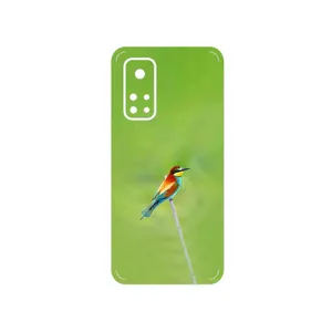 MAHOOT European bee-eater Cover Sticker for Xiaomi Mi 10T Pro 5G
