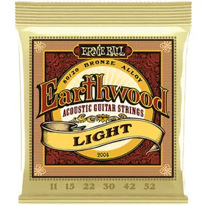 سیم گیتار آکوستیک ارنی بال مدل EarthWood