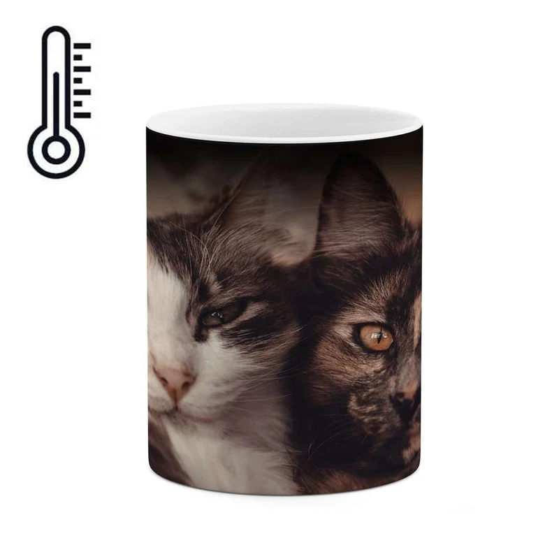 ماگ حرارتی کاکتی مدل گربه کد mgh17258