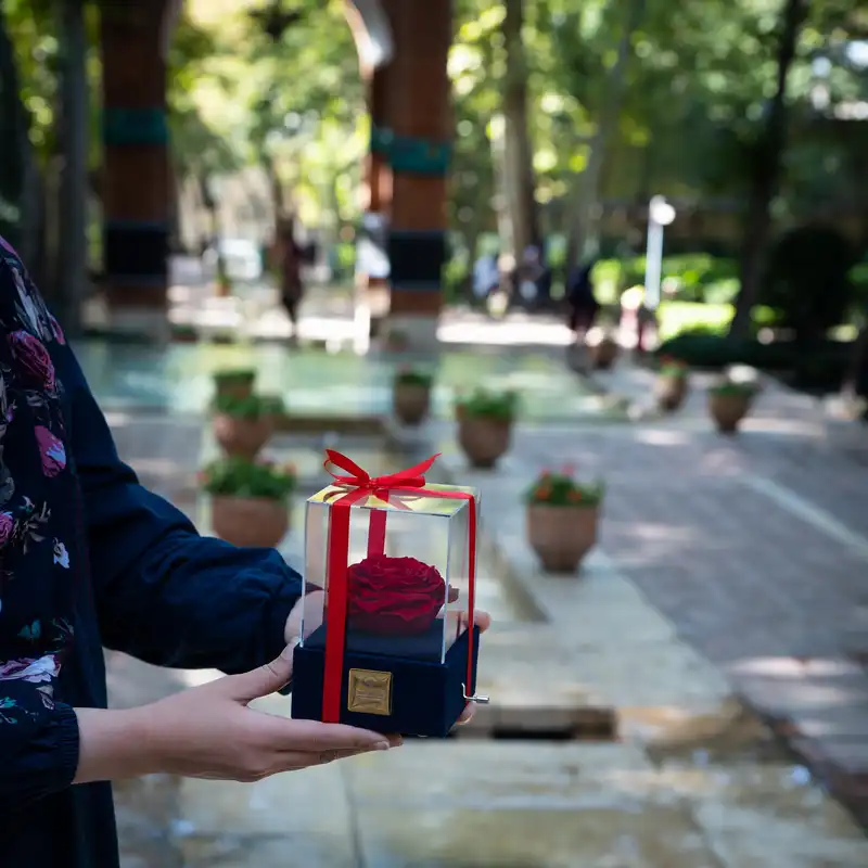 جعبه موزیکال گل ماندگار دکوفیوره مدل رز جاودان ملودی های عاشقانه