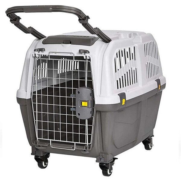 باکس سگ مدل رها 6