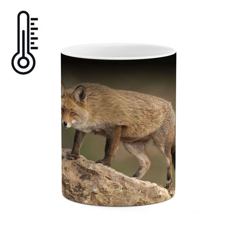 ماگ حرارتی کاکتی مدل روباه کد mgh16370