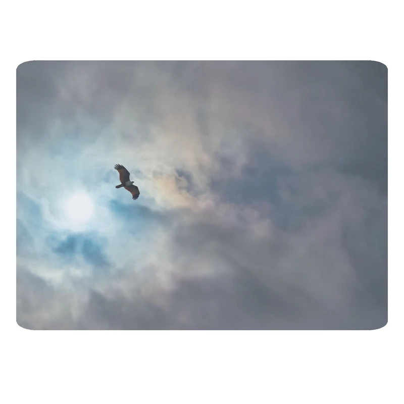 ماوس پد مدل عقاب کد 56 BBB