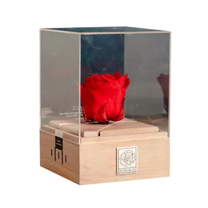 گل رز جاودان مدل موزیکال کوکی C-ROSE
