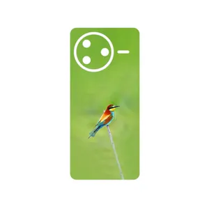 MAHOOT European bee-eater Cover Sticker for Xiaomi Poco F7 Pro