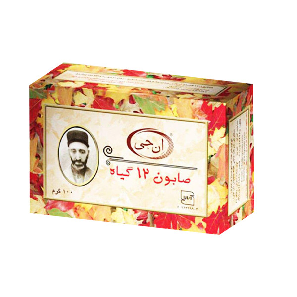 صابون شستشو انجی مدل 12گیاه وزن 108 گرم