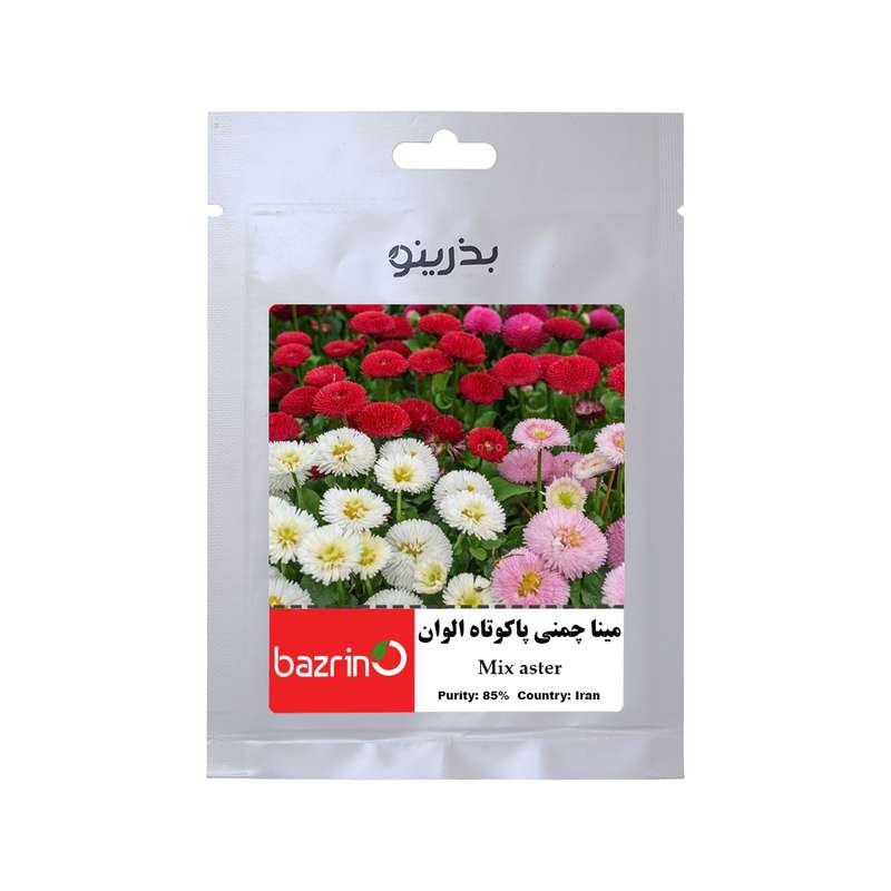 بذر گل مینا چمنی پاکوتاه الوان بذرینو کد B-053