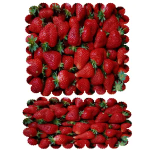  ست رومیزی 2 تکه کد 6365