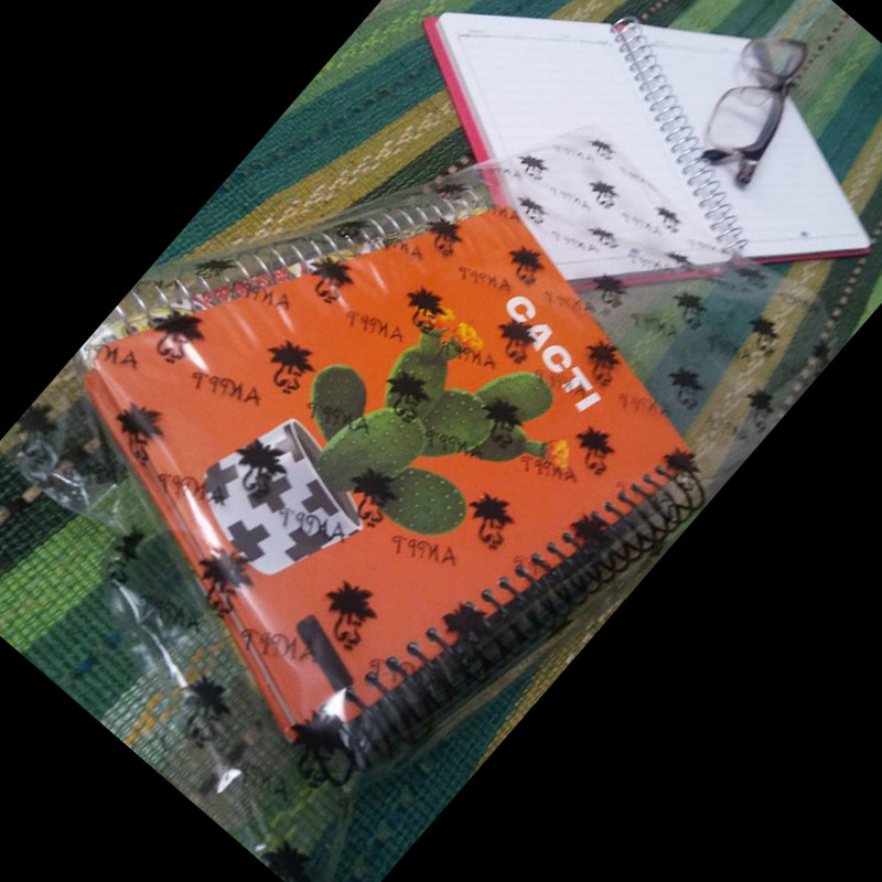 دفتر یادداشت 100 برگ تیما مدل کاکتوس مجموعه 3 عددی