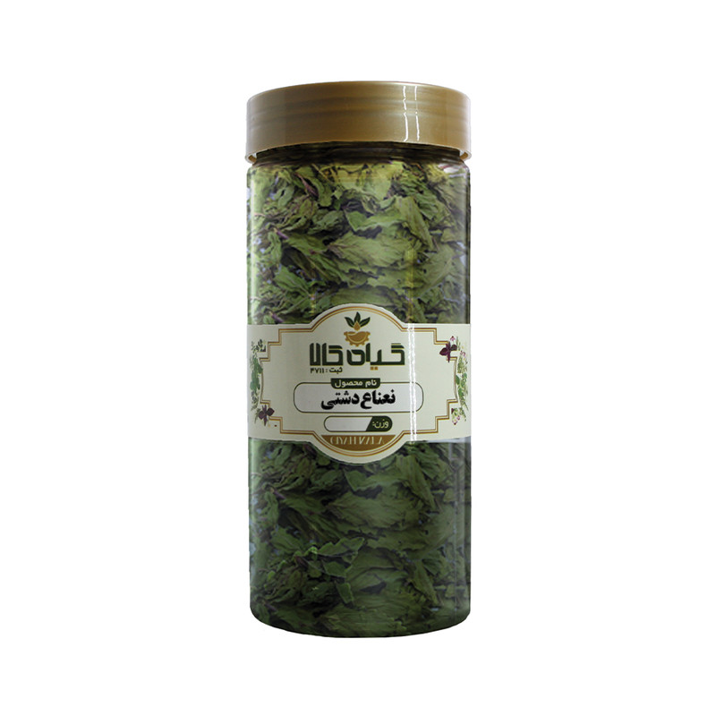 سبزی نعناع دشتی خشک گیاه کالا - 50 گرم