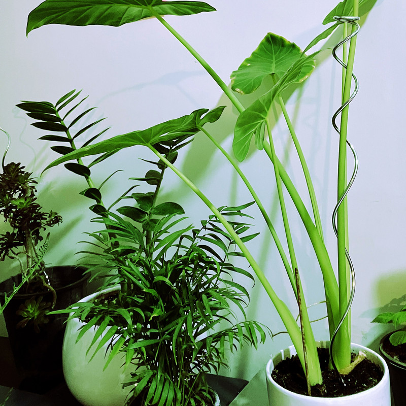 قیم بند مدل فلزی اسپایرال بسته 6 عددی