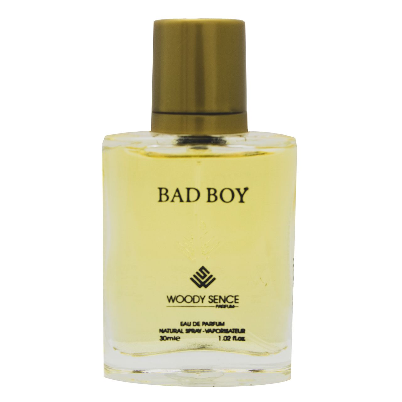 عطر جیبی مردانه وودی سنس مدل BAD BOY حجم 30 میلی لیتر -  - 2