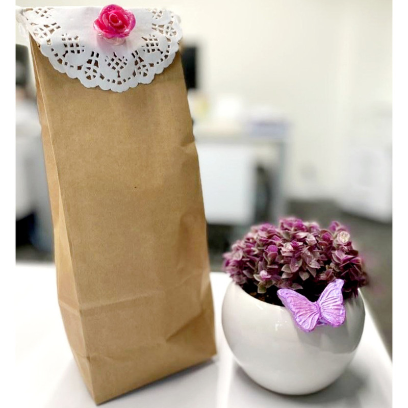 گیاه طبیعی کالیسیا مدل F-39 گیاه طبیعی کالیسیا مدل F-39