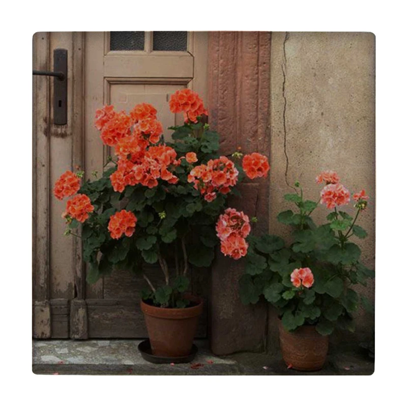 زیر لیوانی طرح گلدان های شمعدانی کد    3238076_335