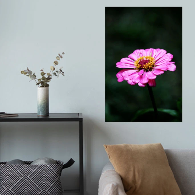 پوستر گوفی مدل والپیپر گل تنها زیبا طرح طبیعت و گردشگری Nature Pink Flower 4K کد SOLO21