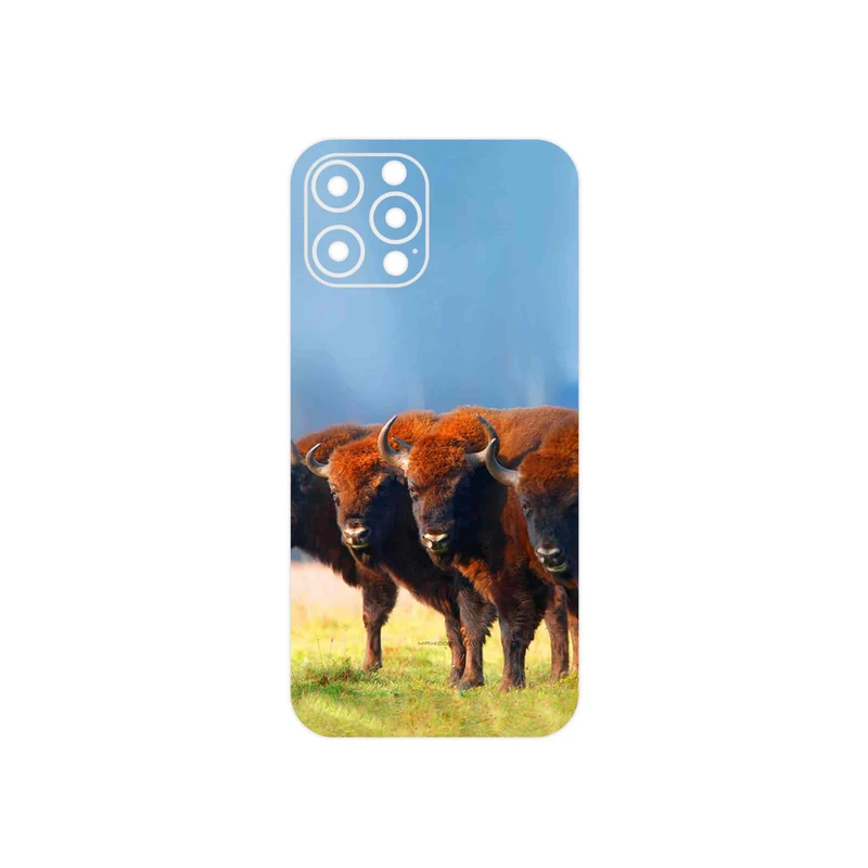 برچسب پوششی ماهوت مدل Buffalo مناسب برای گوشی موبایل اپل iPhone 12 Pro Max