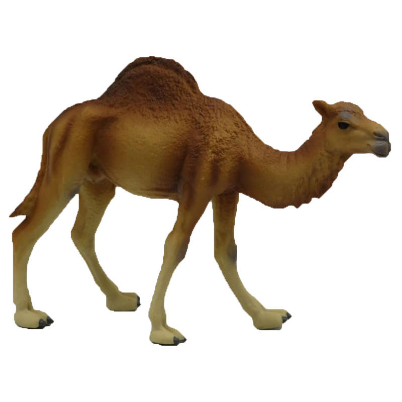فیگور مدل شتر کد 1