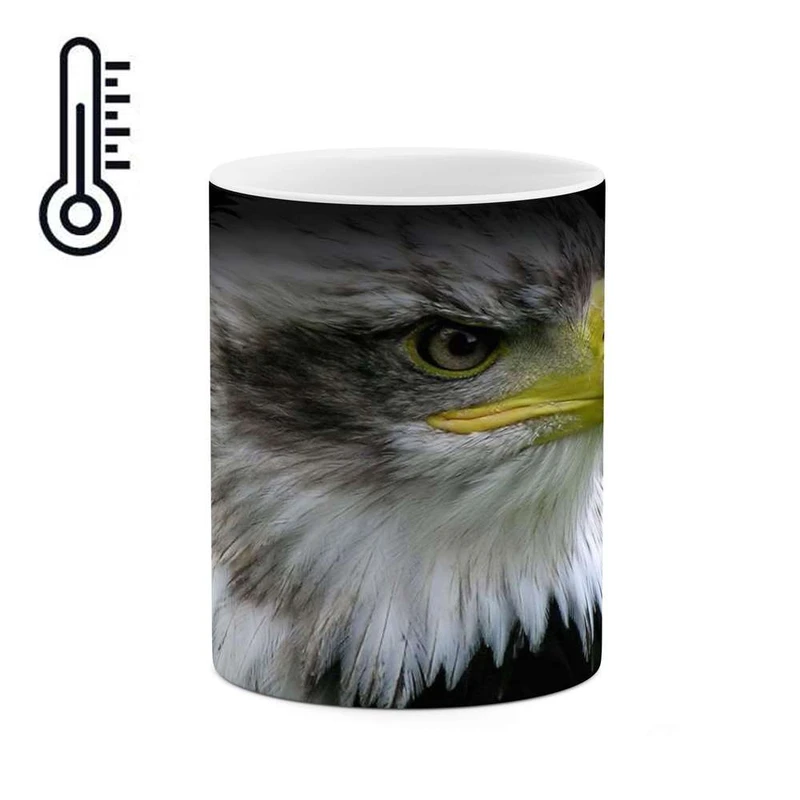 ماگ حرارتی کاکتی مدل عقاب کد mgh10907