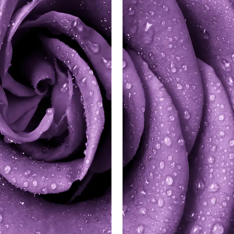 پرده مدل پانچی طرح گل رز سایز 280x145 سانتی متر