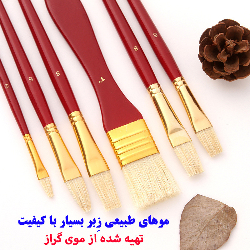 ست قلمو مو طبیعی مدل کیف دار کد Hog Bristle مجموعه 10 عددی