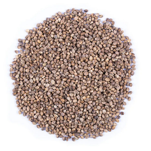 غذای پرندگان مدل شاهدانه ریز خام وزن 500 گرم