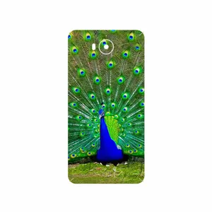 MAHOOT Peacock Cover Sticker for Huawei Y5 2017