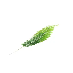 گل مصنوعی مدل برگ سرخس مجموعه 20 عددی