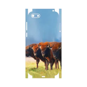 MAHOOT Buffalo-FullSkin Cover Sticker for Huawei Y5 Lite