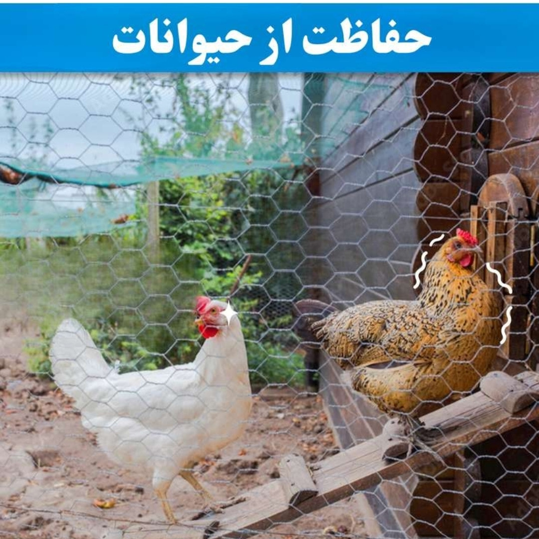 توری مرغی مدل فرنگی H150 طول 20 متر