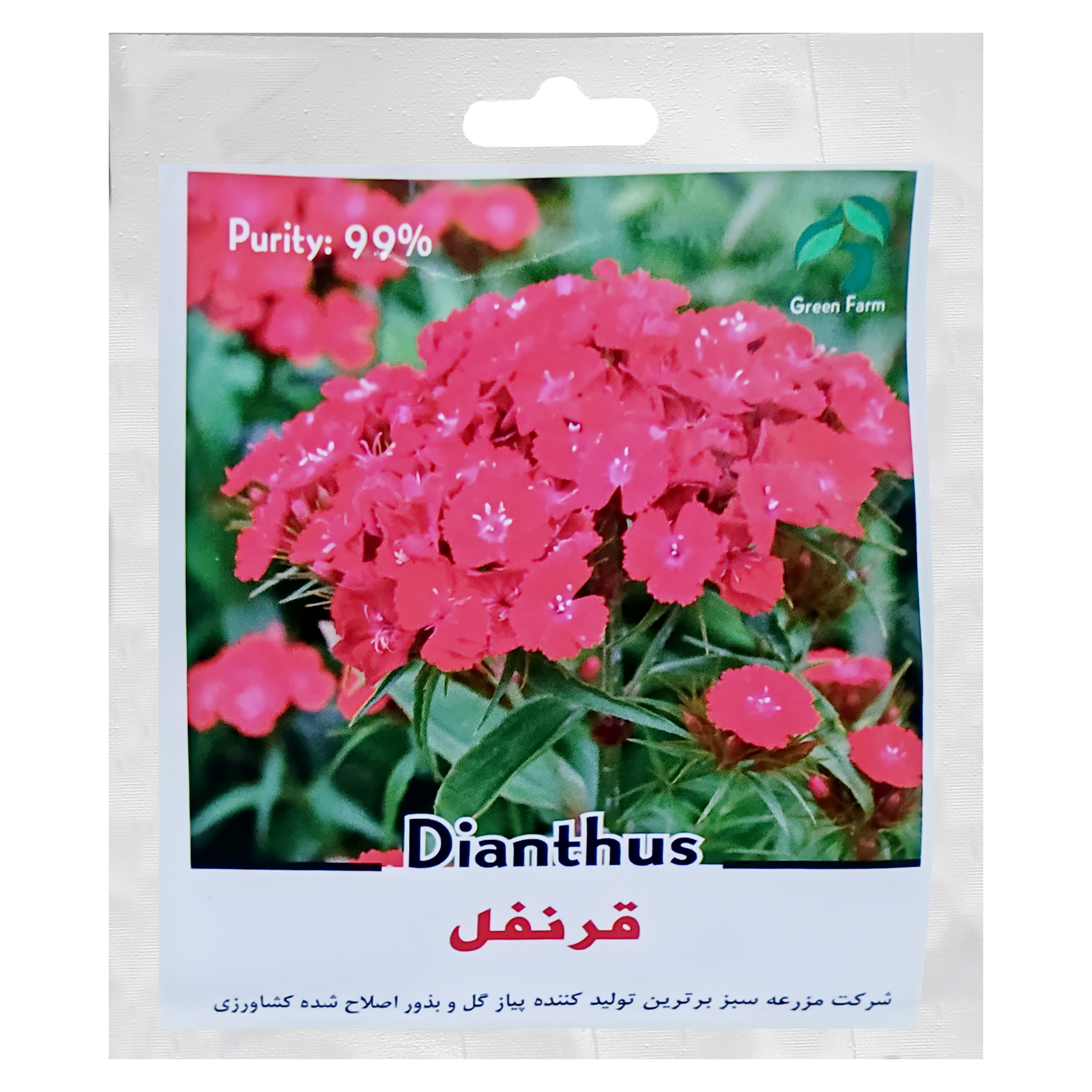 بذر گل قرنفل قرمز گرین فارم کد GRG 1