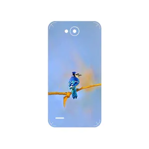 MAHOOT Cyanocitta cristata Cover Sticker for LG X Power 2