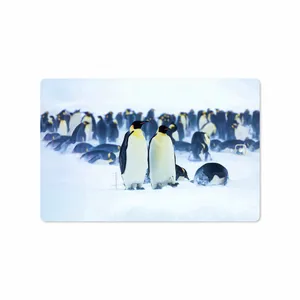 MAHOOT Penguin Cover Sticker for Samsung Galaxy Tab S3 9.7 2017 T820